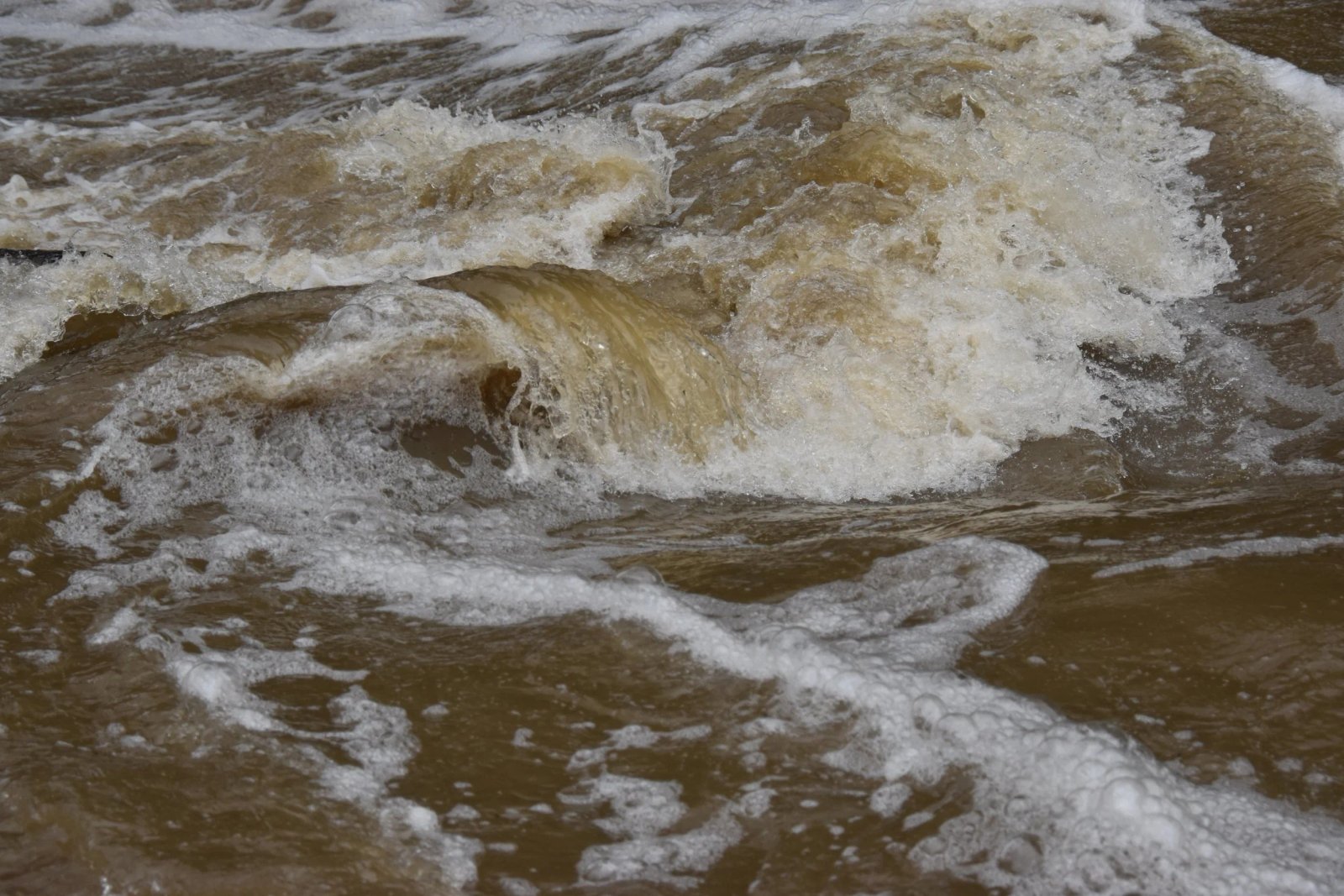 DSC_0779.JPG