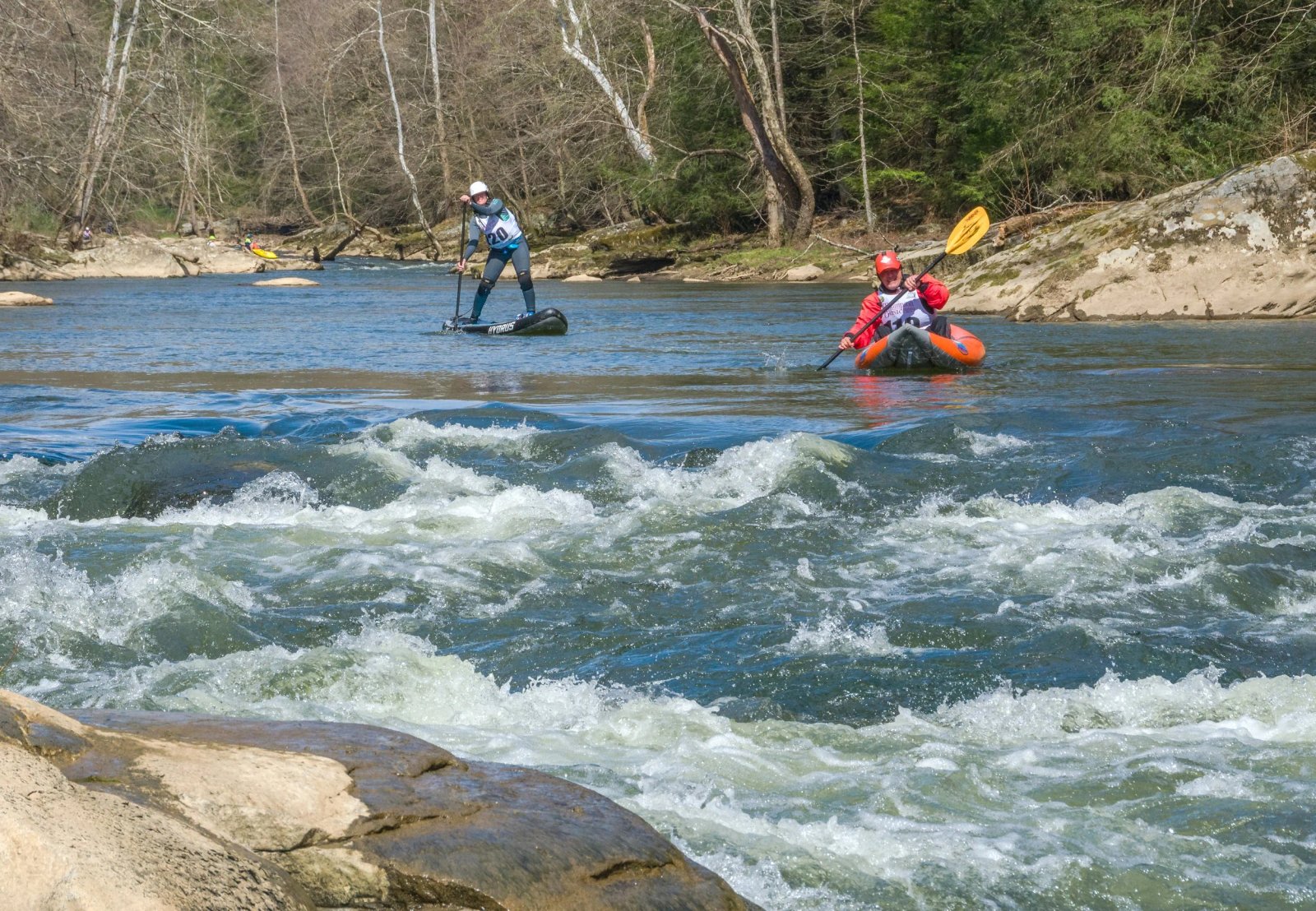 DSC_3754.jpg